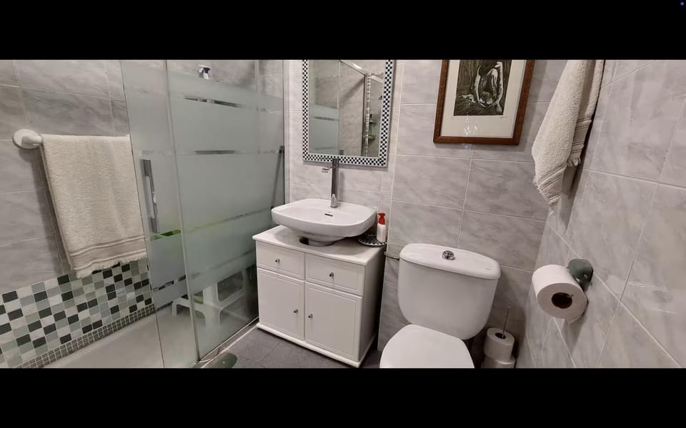 Shower, Toilet, towels