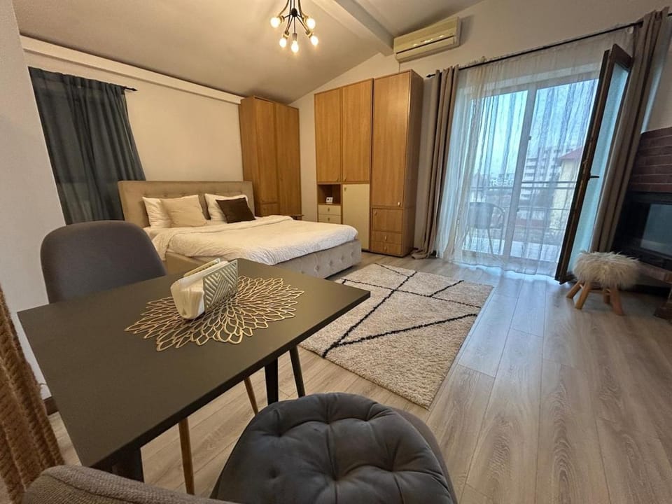 Studio HC Apartment in Timisoara