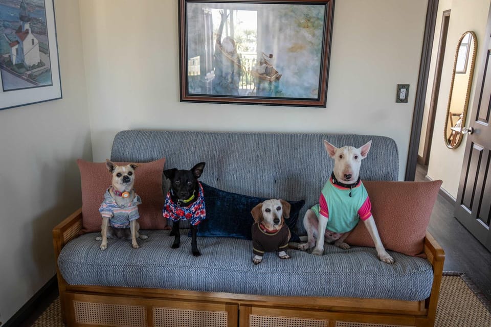 Pet-Friendly Home - 1 Block from Beach House in Ocean Beach