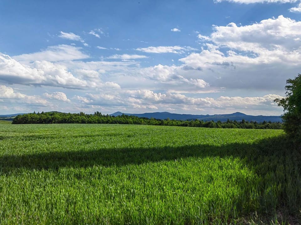 Natural landscape