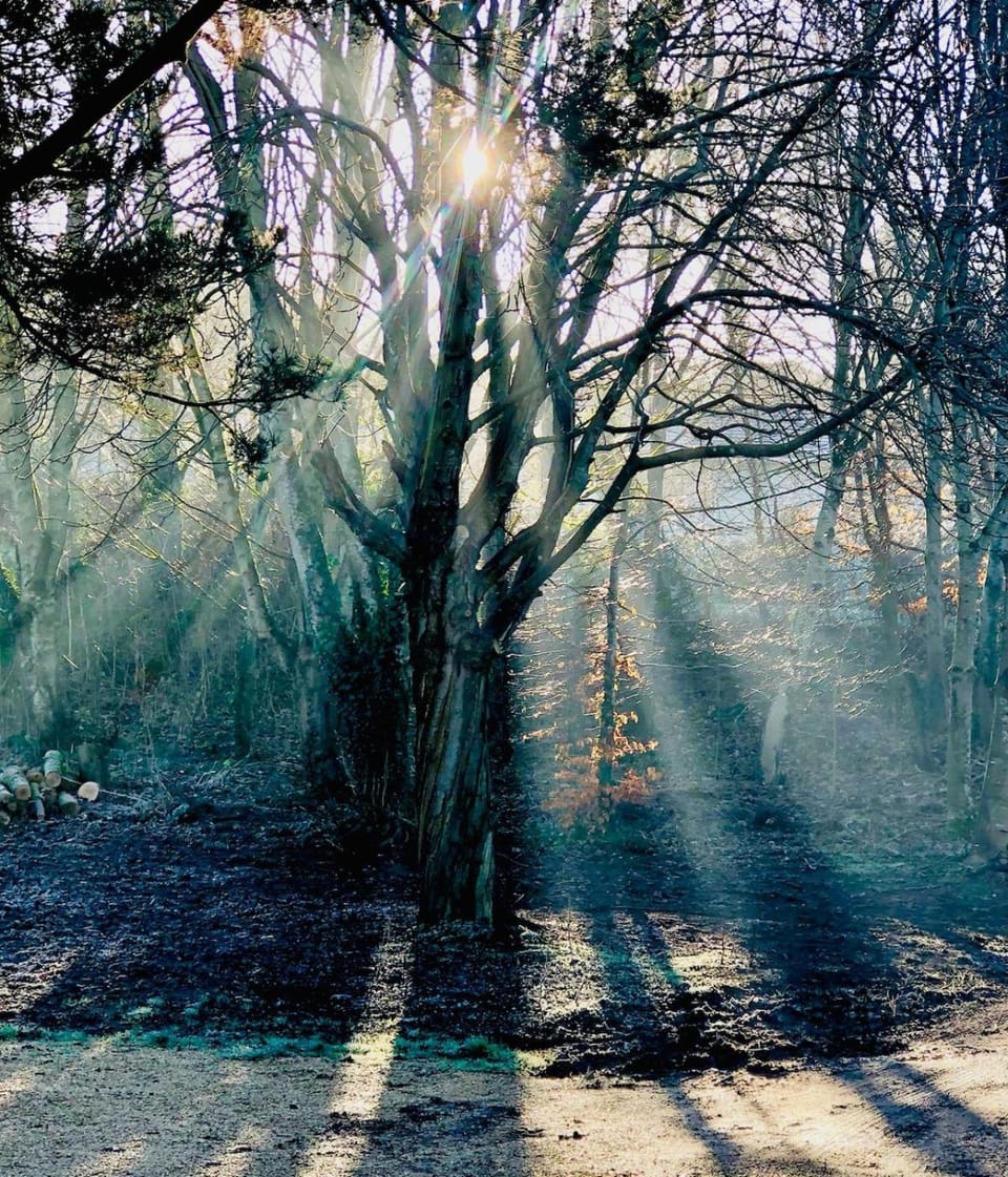 Natural landscape