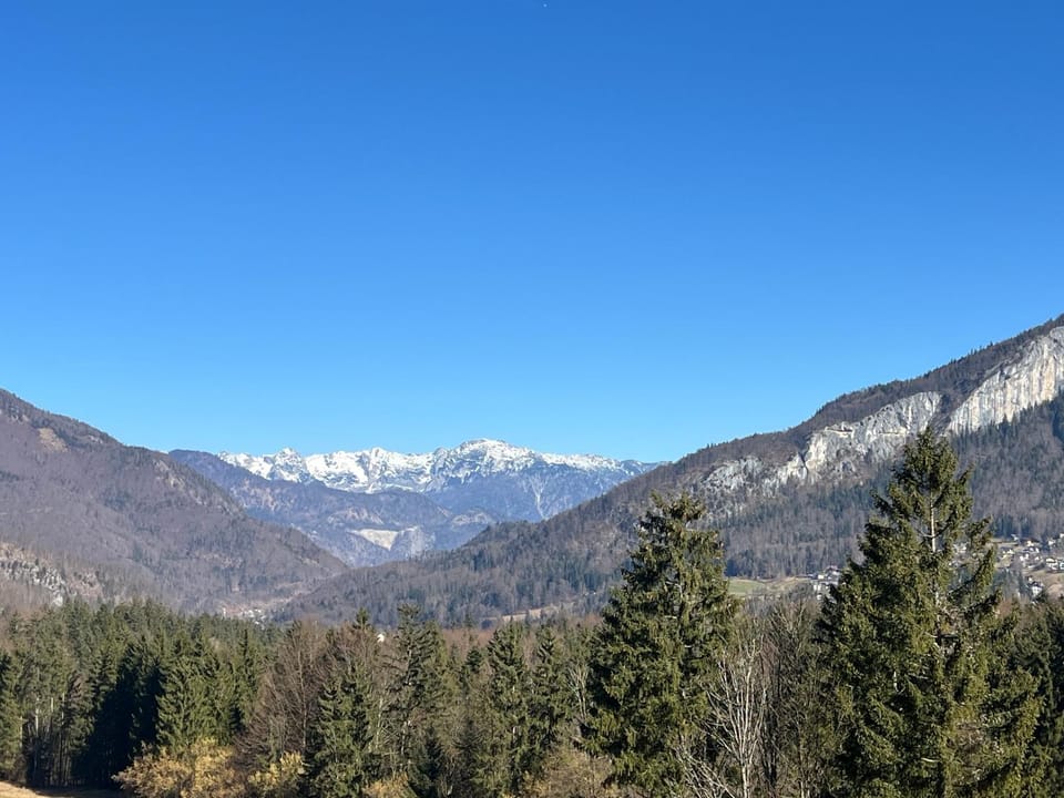 Bergzauber Apartment in Salzburgerland