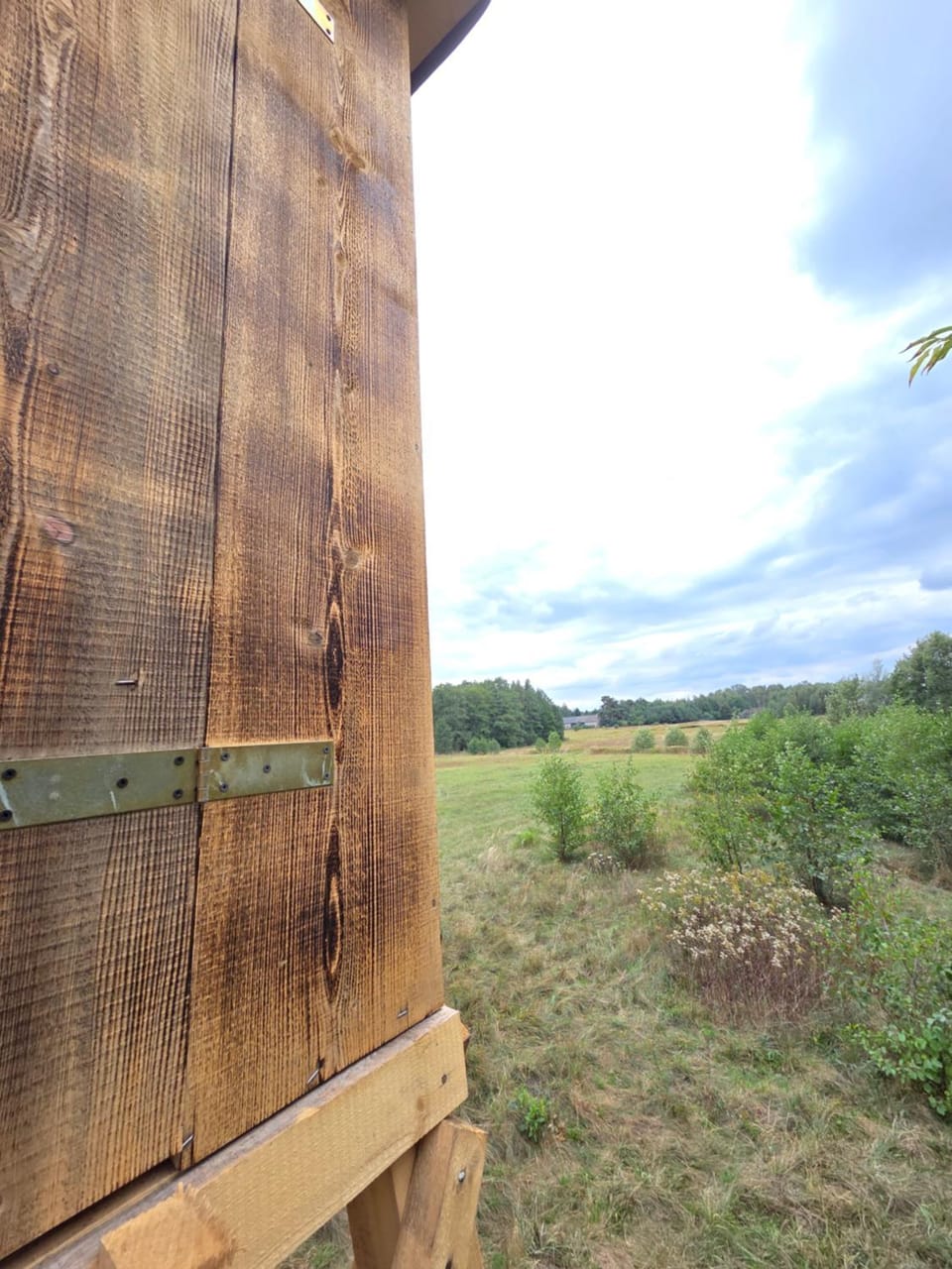 Miejsce na namiot w Błońskim LeoLandzie Campground/ 
RV Resort in Masovian Voivodeship