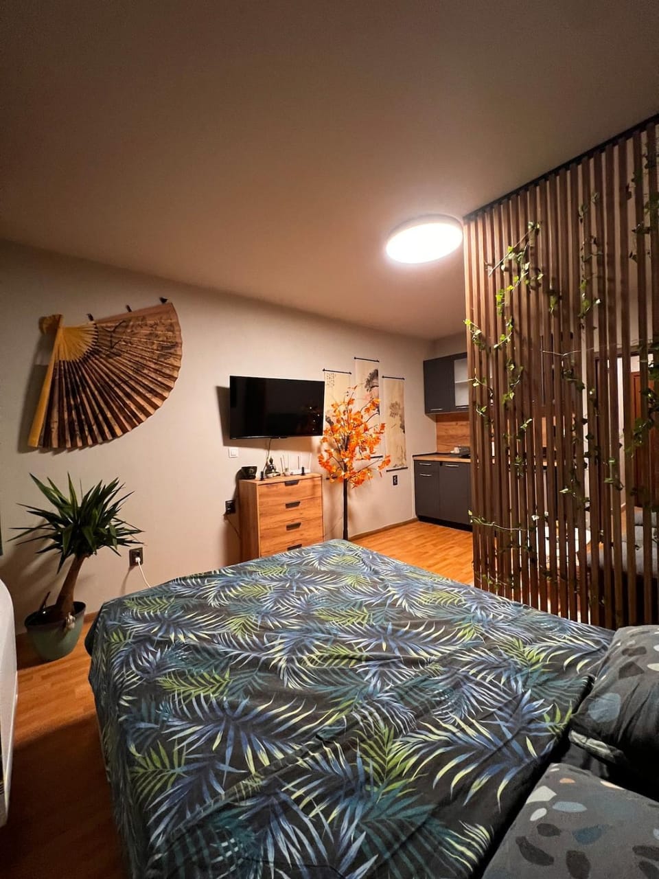Bed, TV and multimedia, Bedroom