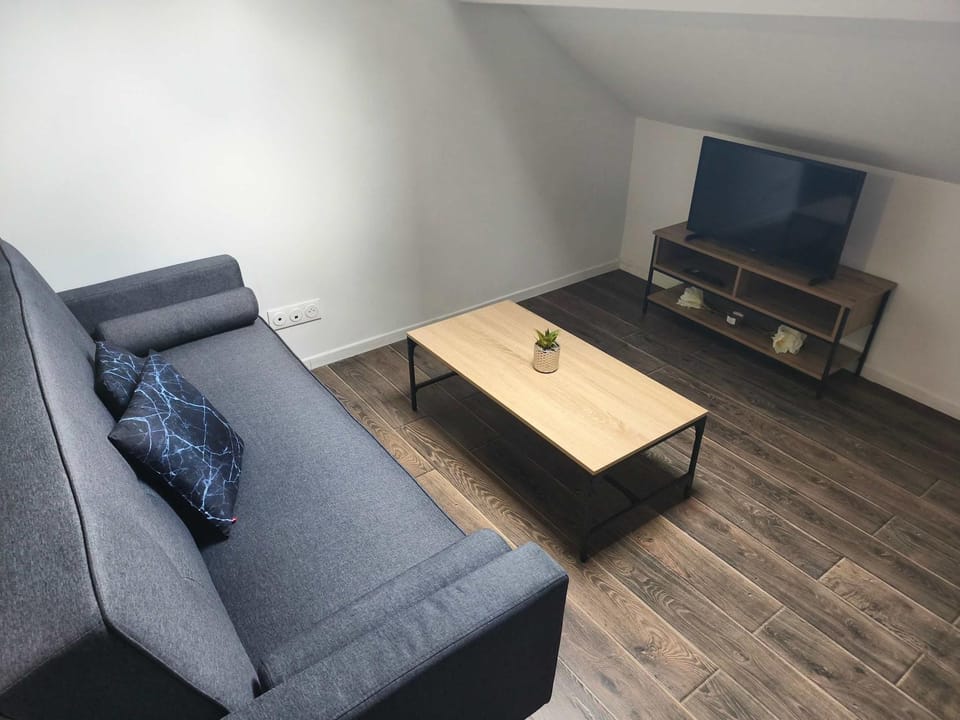 Downtown Apartment with Garage Parking Apartment in Grand Est