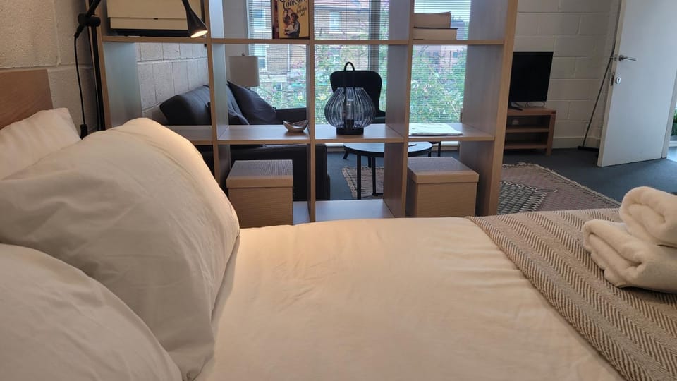 Sunny and spacious studio near the station Apartment in London Borough of Southwark