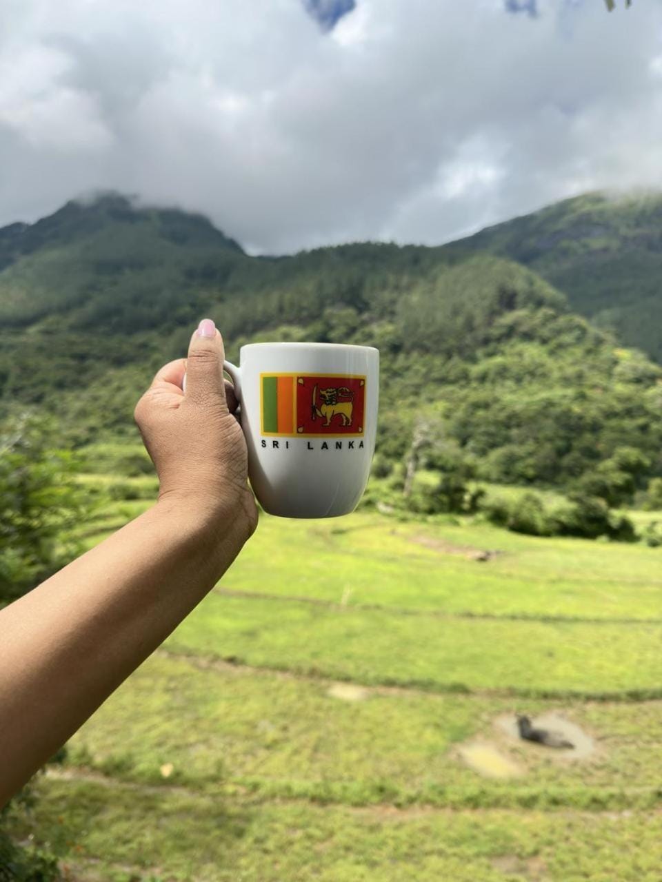 Day, Natural landscape, Coffee/tea facilities, Mountain view
