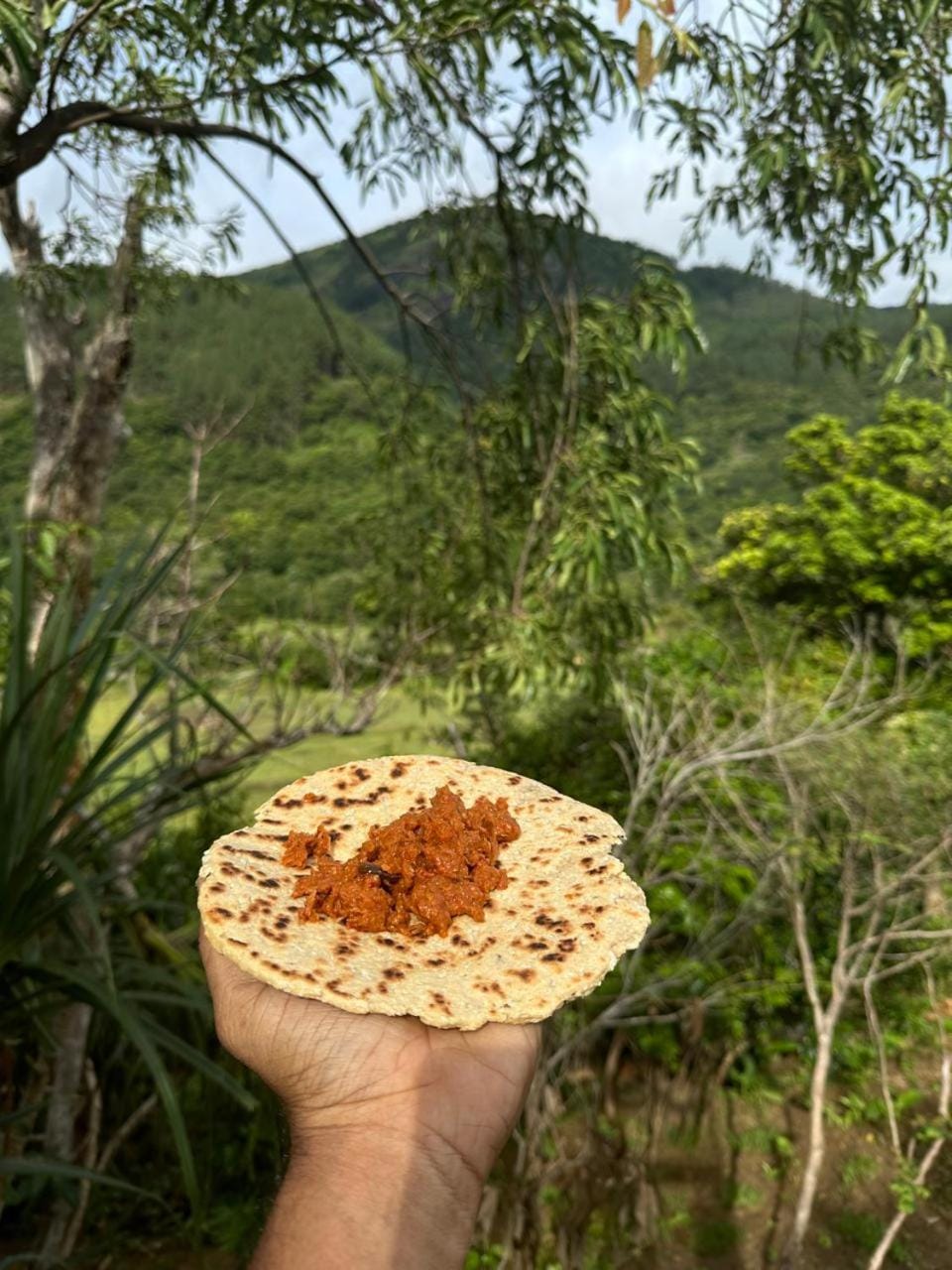 Natural landscape, Food and drinks, Food, Mountain view
