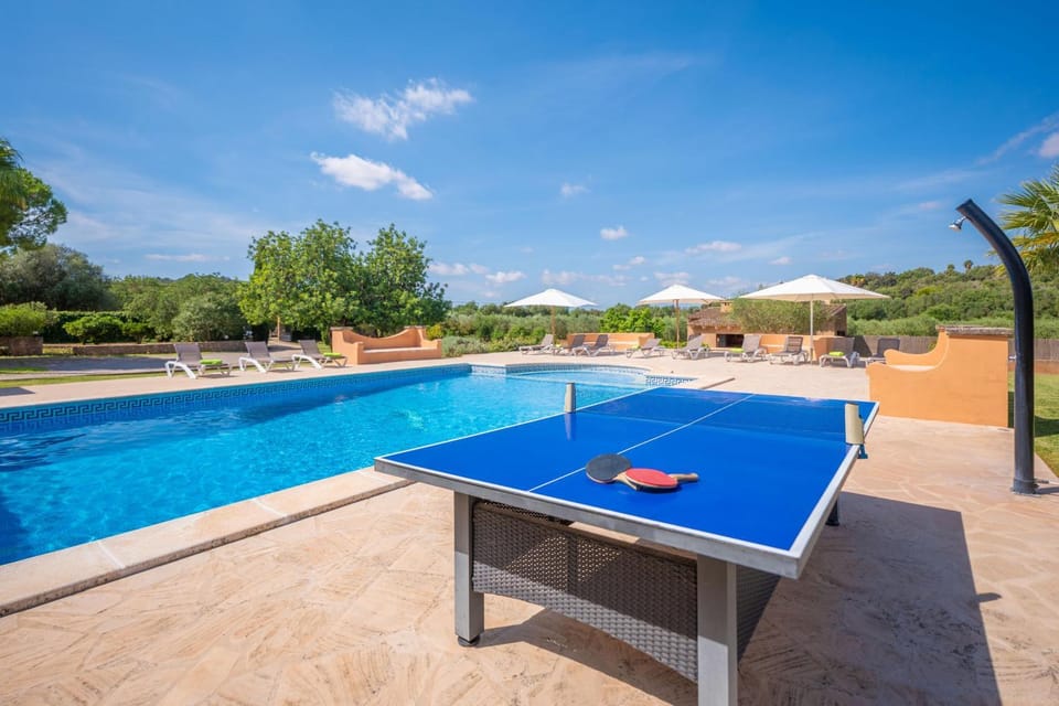 Table tennis, Swimming pool