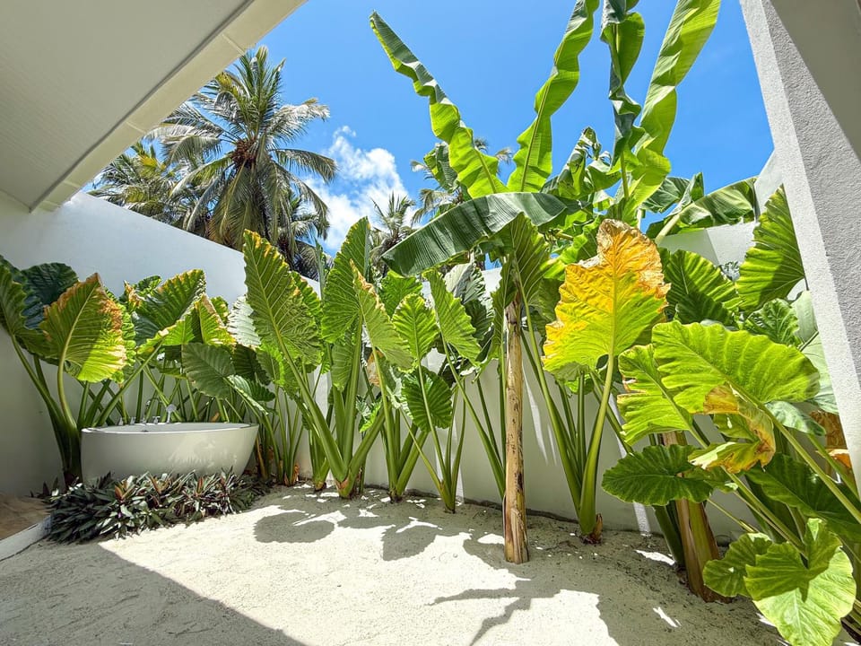 Garden view