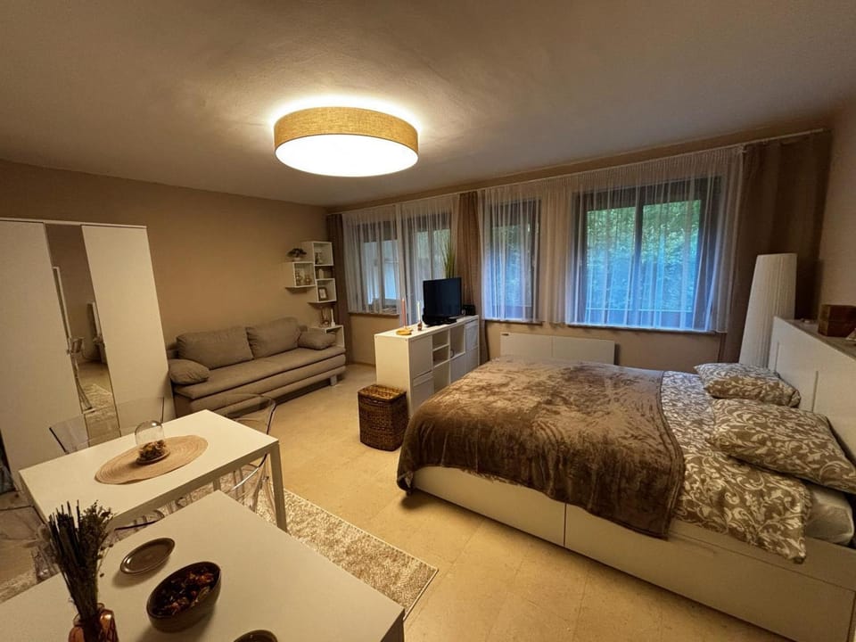 Photo of the whole room