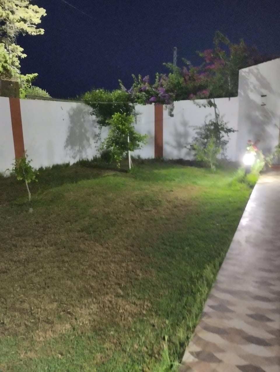 Property building, Garden