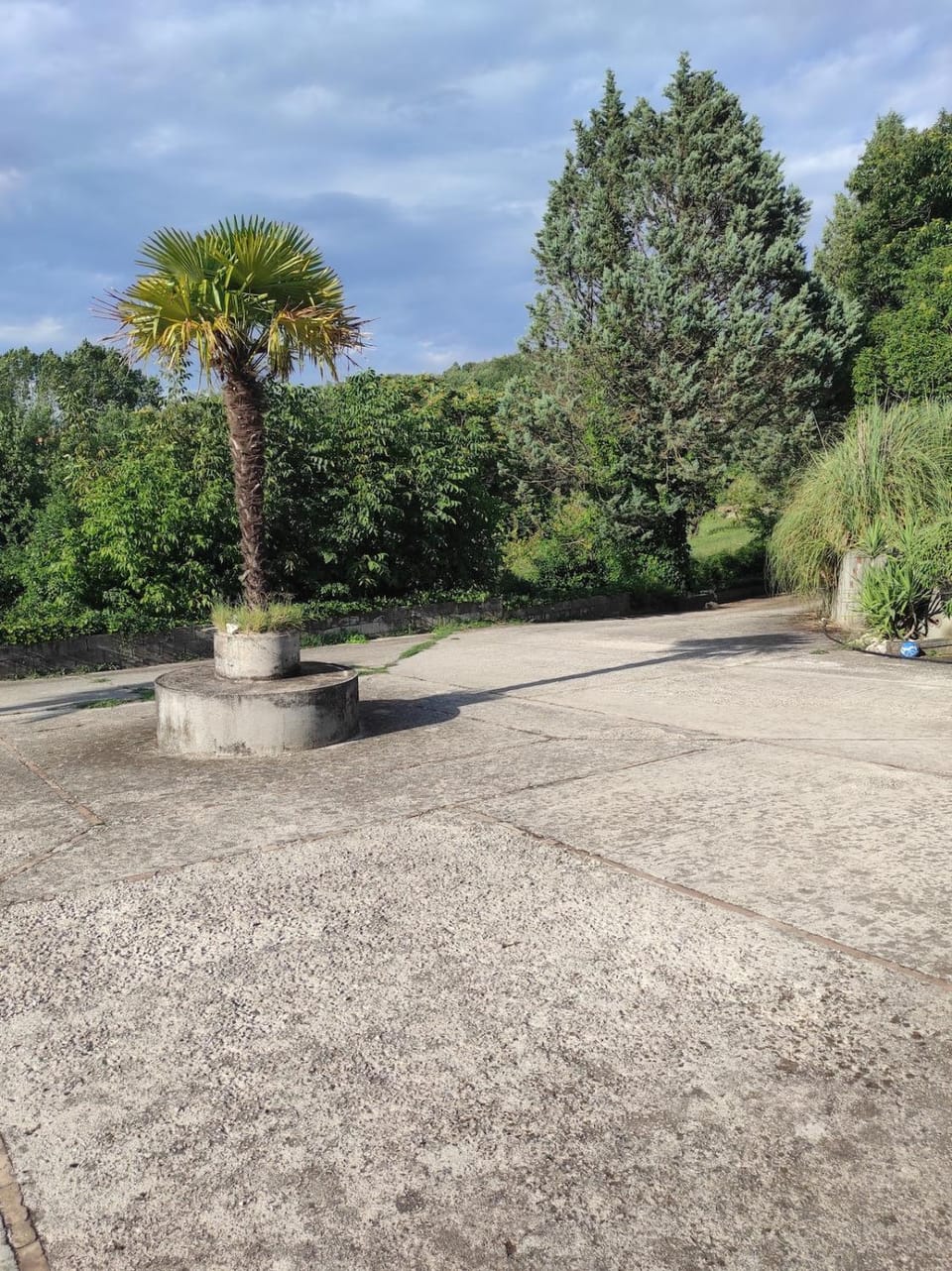 Spring, Natural landscape, Garden, Garden view