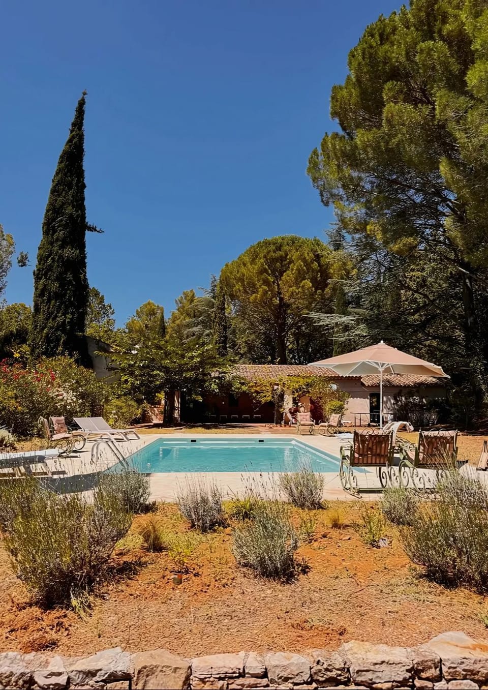 Garden, Pool view, Swimming pool