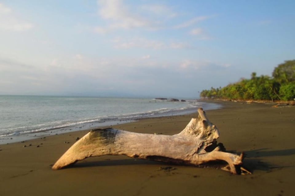 Natural landscape, Beach, Beach, On site, Sea view