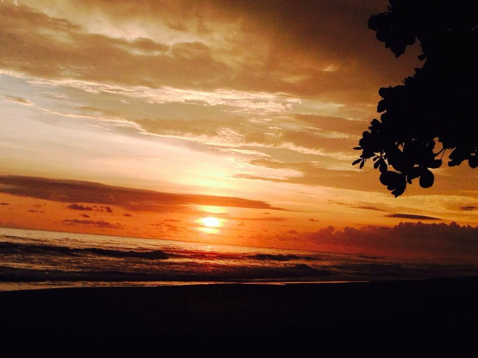 Natural landscape, Beach, On site, Sunset