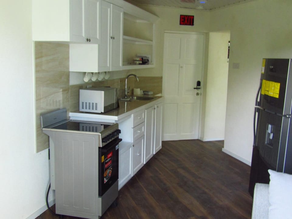 Kitchen or kitchenette, oven, stove