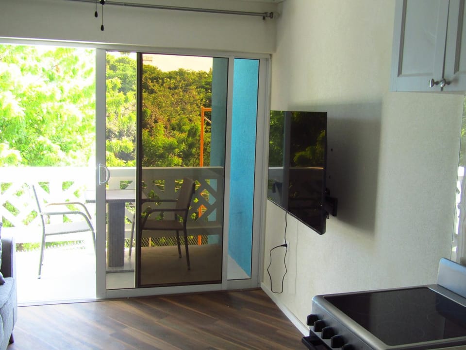 TV and multimedia, Balcony/Terrace, Garden view