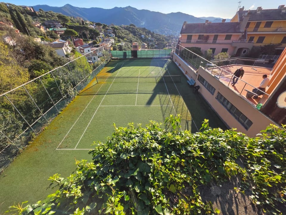 Tennis court