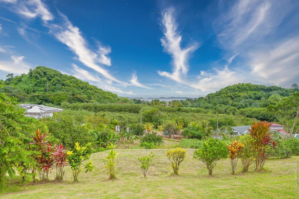 Nearby landmark, Spring, Day, Natural landscape, Garden, Garden, Garden view, Mountain view