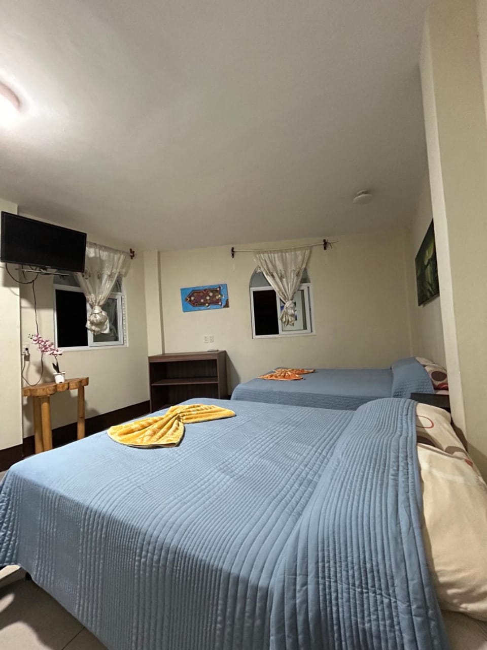 Bed, TV and multimedia, Photo of the whole room, Bedroom