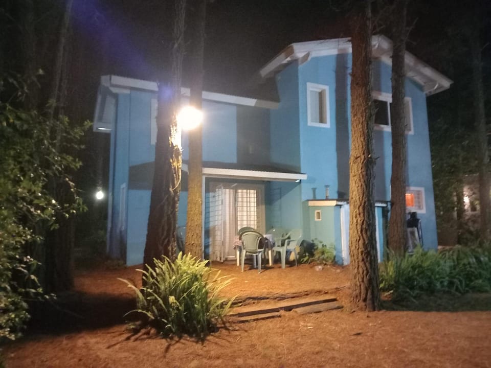 Night, Garden view