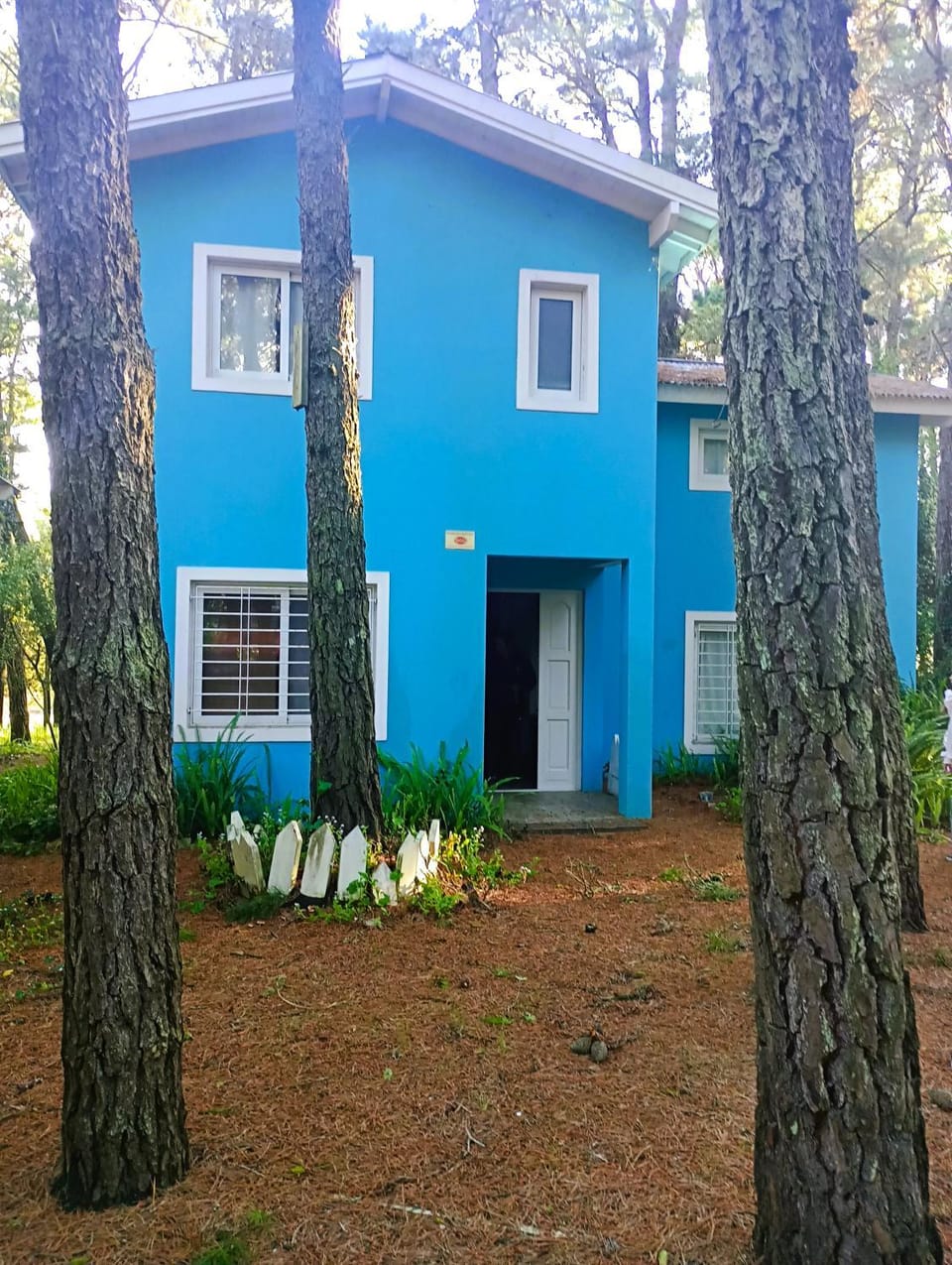 Day, Garden, Garden view