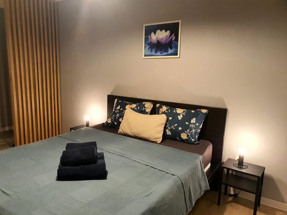 Lotus studio Apartment in Bucharest