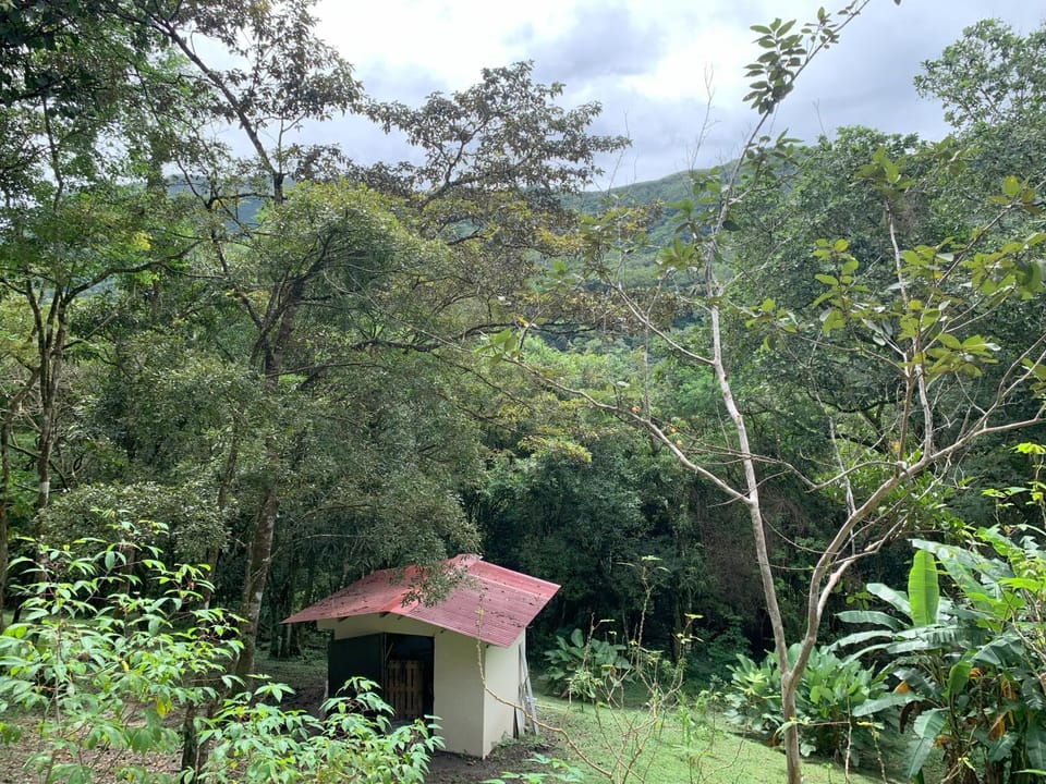 Garden view, Mountain view