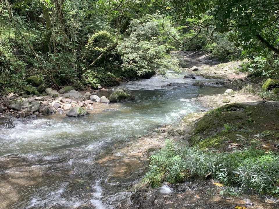Natural landscape