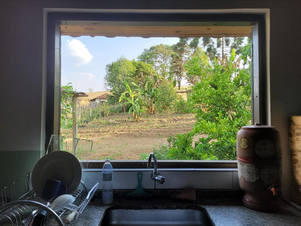 Kitchen or kitchenette, Garden view