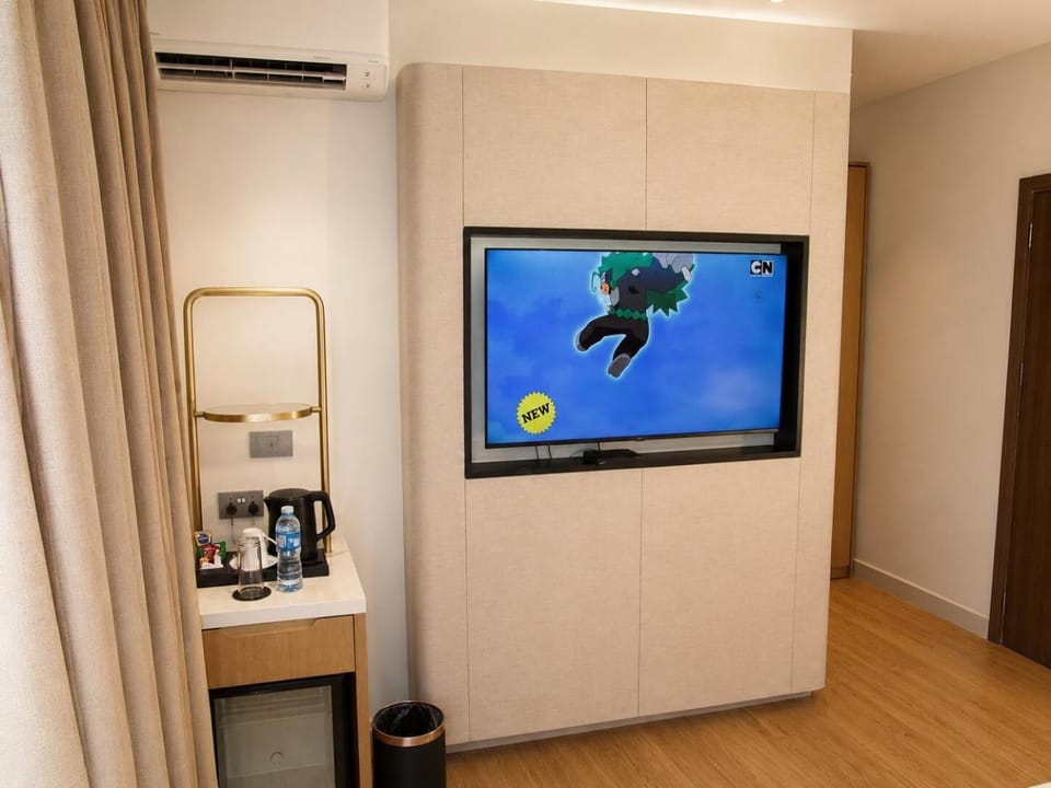 TV and multimedia