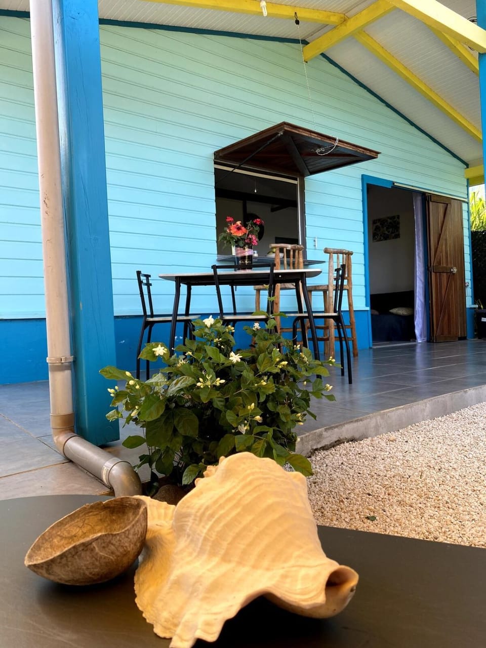 Le petit Oasis Apartment in Martinique