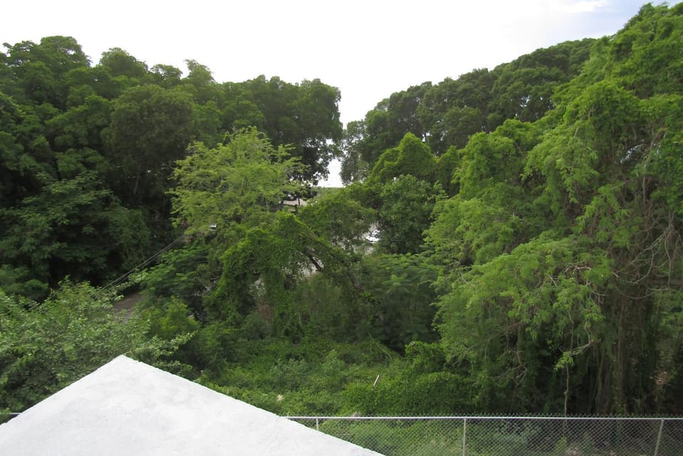 Natural landscape