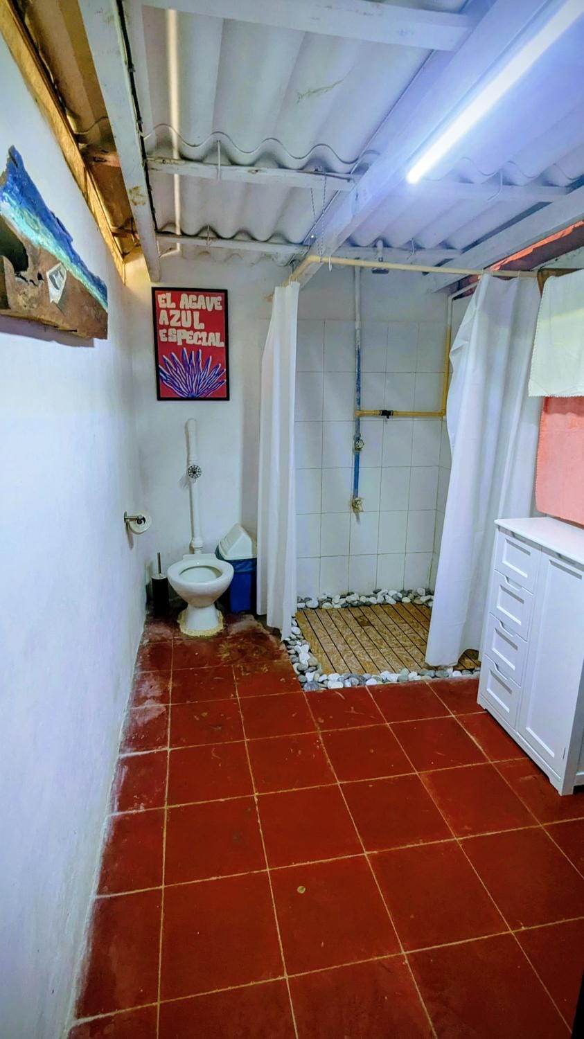 Shower, Toilet, Bathroom