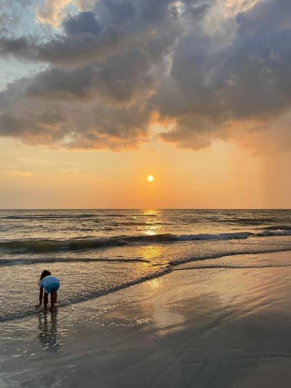 Barefoot Beach Resort in Indian Shores Minutes from Clearwater Beach Apartment in Indian Shores
