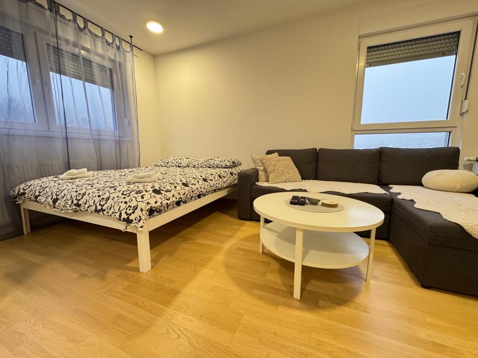 Bed, Living room, Photo of the whole room, Seating area, Bedroom