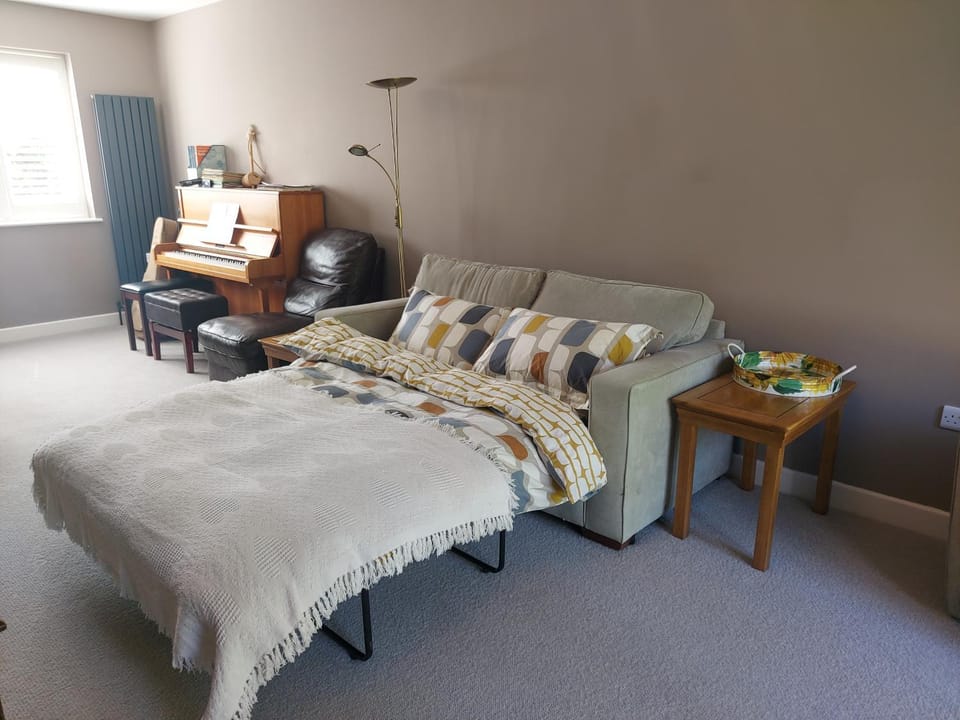 Bed, Living room, Photo of the whole room, Seating area, Bedroom