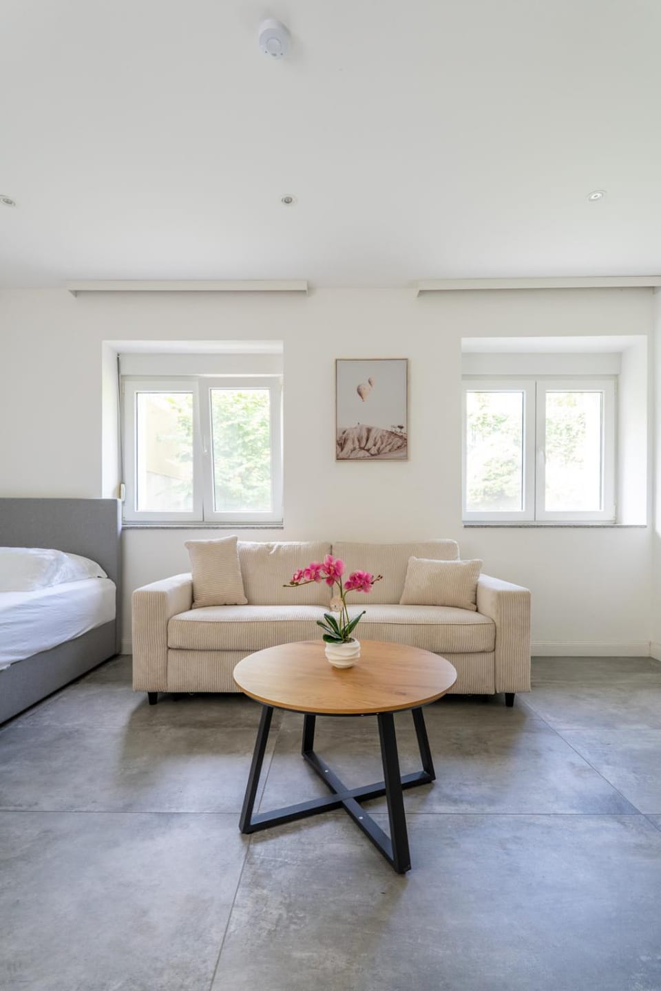 Bed, Living room, Photo of the whole room, Seating area