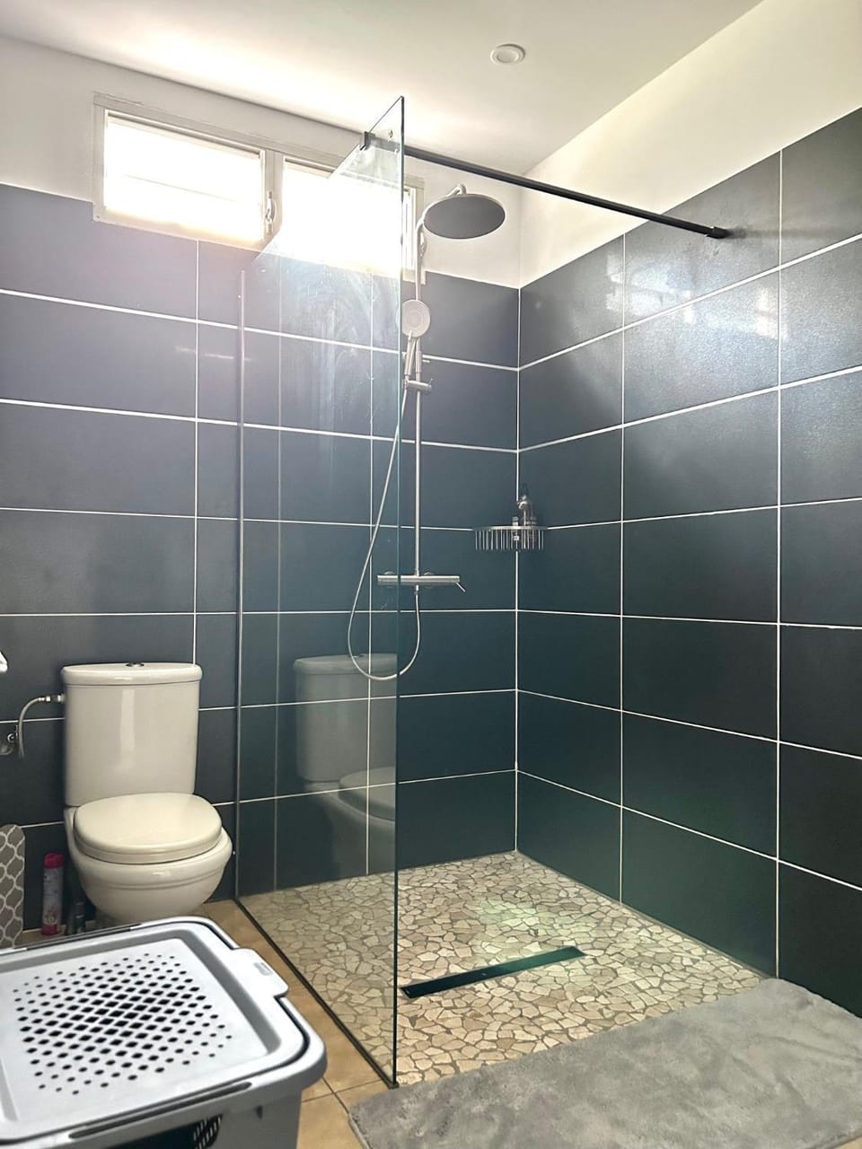 Shower, Toilet, Bathroom, flat iron, hair dryier, towels