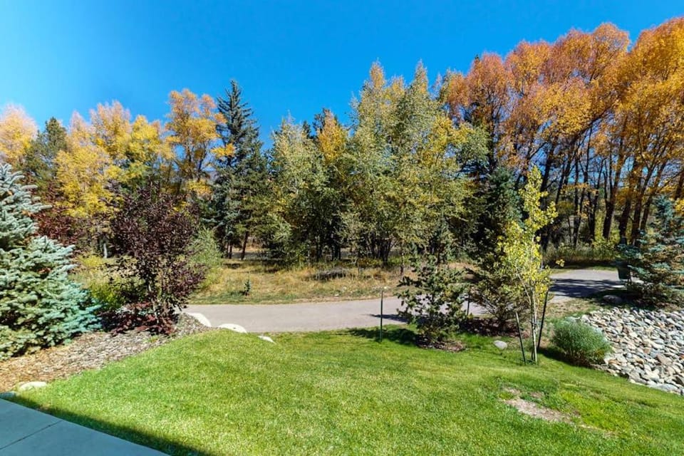 Blue River Dream Apartment in Silverthorne