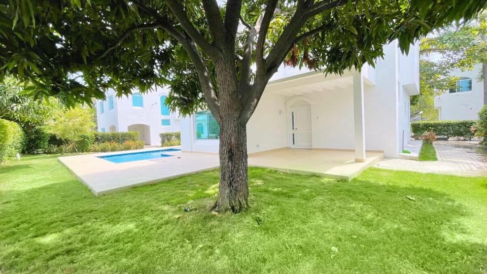 Garden, Swimming pool