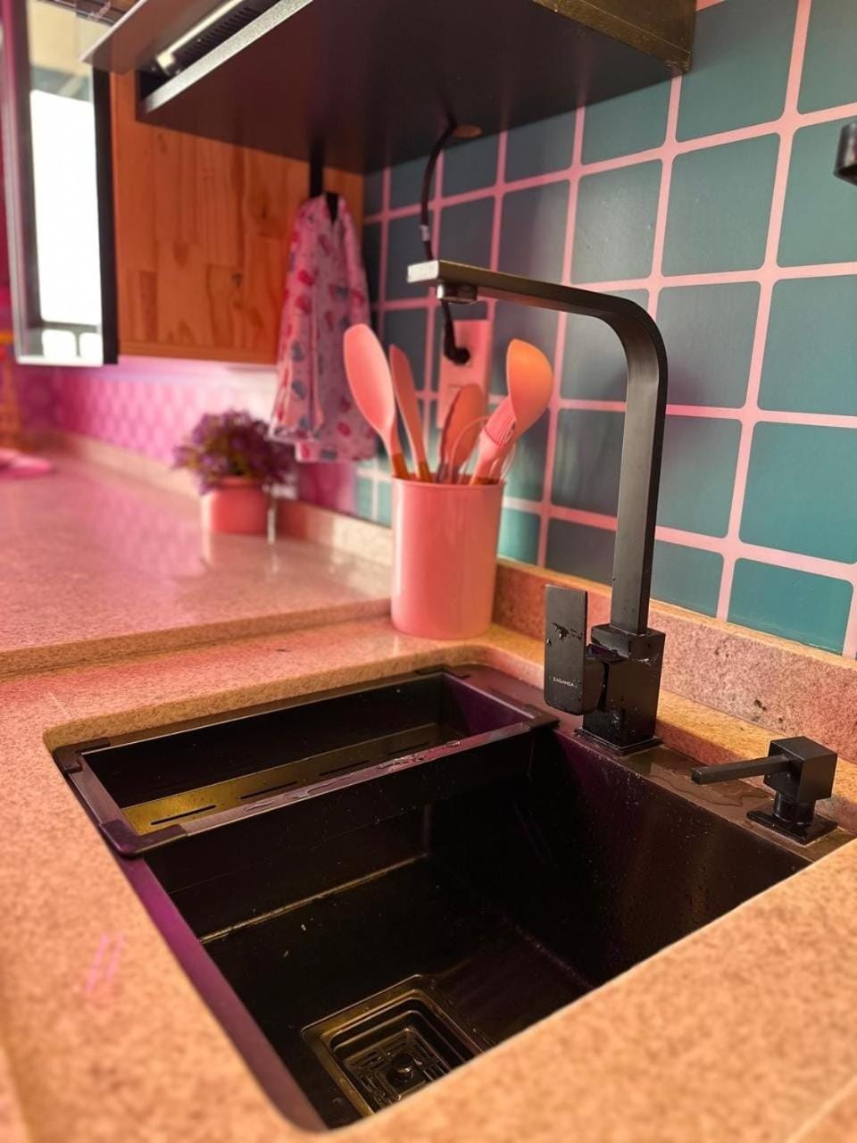 Pink Room Unique Experience in São Paulo Apartment in Sao Paulo City