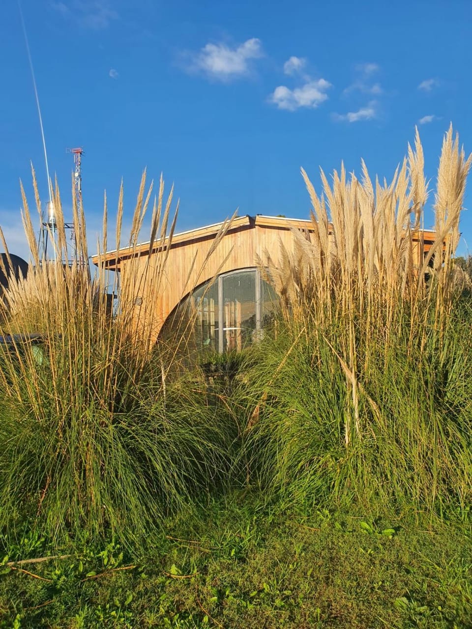 Natural landscape, Garden, Garden view