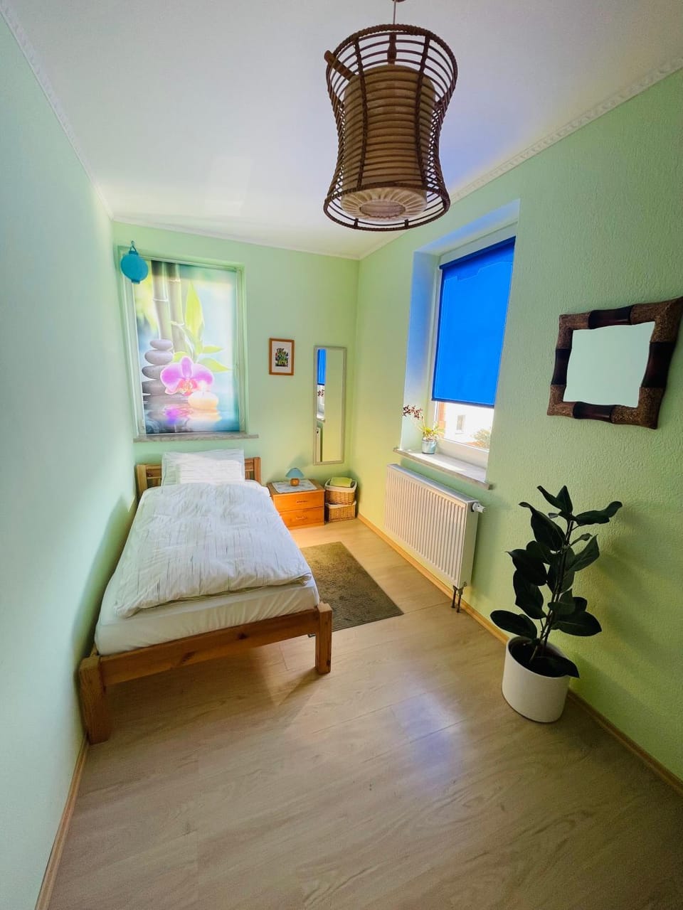 Bed, Photo of the whole room