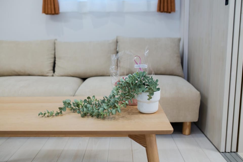 Living room, Decorative detail, Seating area