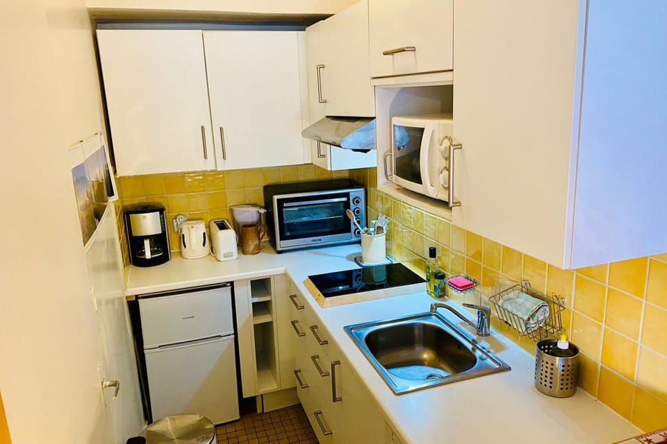 Alpine stay Mont Blanc view parking Apartment in Chamonix