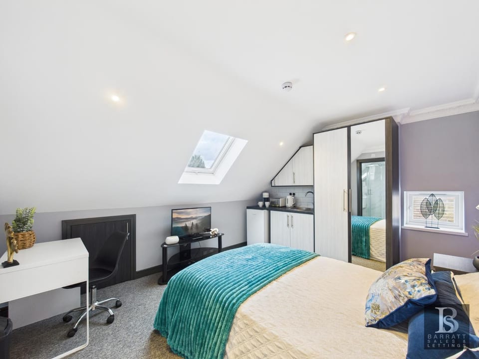 Bed, TV and multimedia, Kitchen or kitchenette, Photo of the whole room, Bedroom
