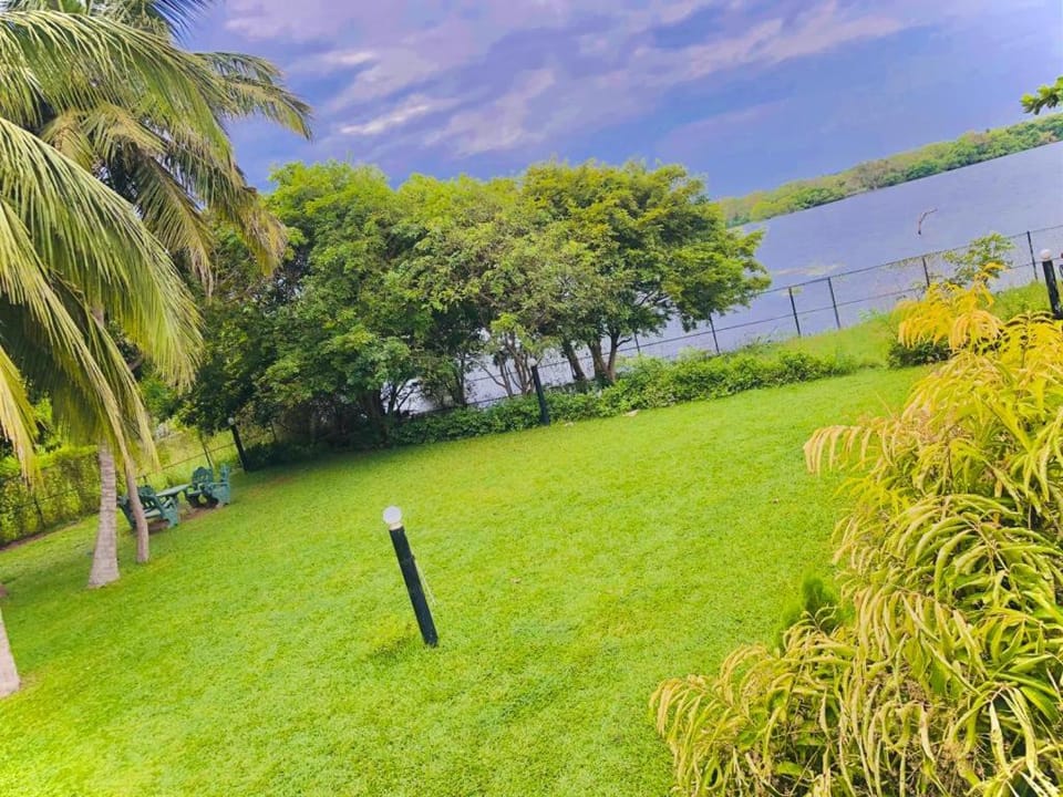 Spring, Day, Natural landscape, Garden, Garden view, Lake view, River view