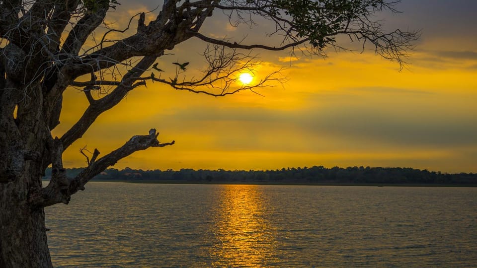 Lake view